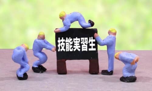 技能実習生